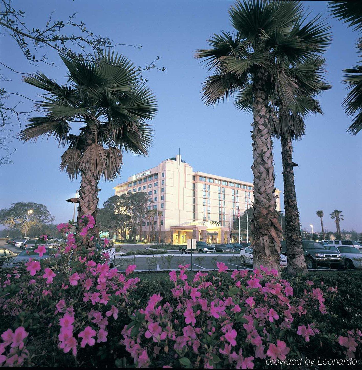 Embassy Suites By Hilton Tampa Usf Near Busch Gardens Extérieur photo